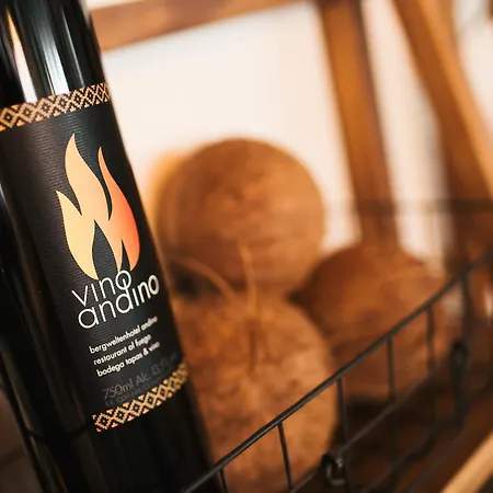 Andino 4* Санкт-Антон-ам-Арльберг